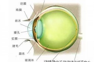 角膜炎和结膜炎的差异