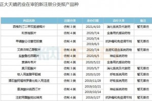 鼓励挑战专利支持首仿头部企业百舸争流